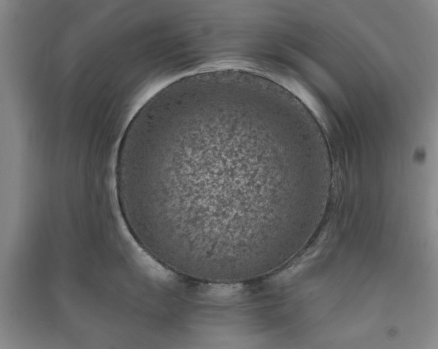 X0000091361055200708171520
