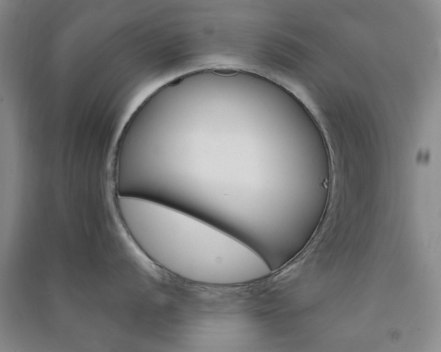 X0000091361056200708171520