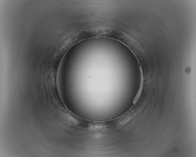 X0000091361058200708171519