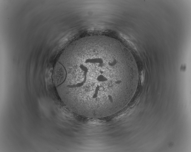 X0000091361059200708171519
