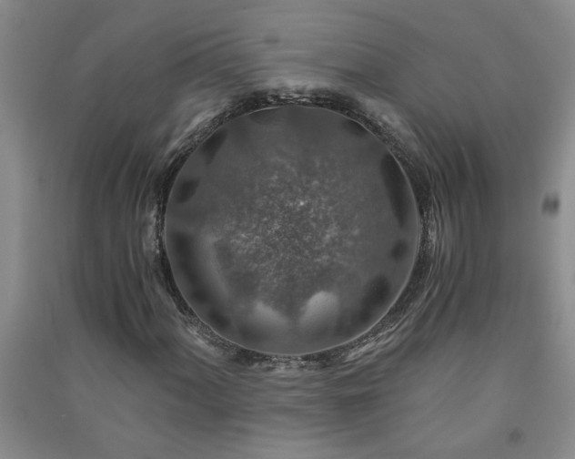 X0000091361060200708171519