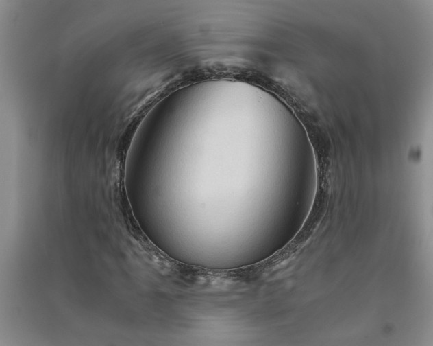 X0000091361061200708171519