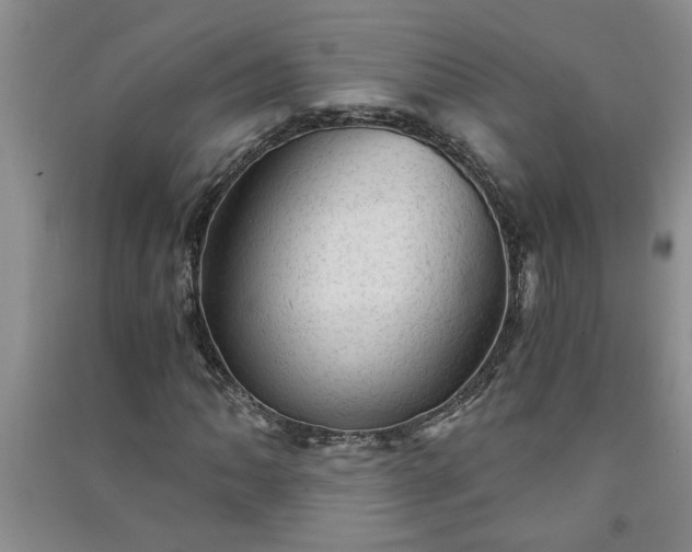 X0000091361062200708171519