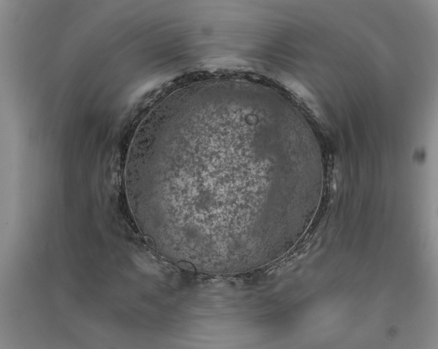 X0000091361063200708171519