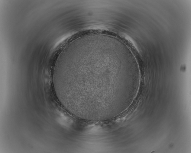 X0000091361064200708171519