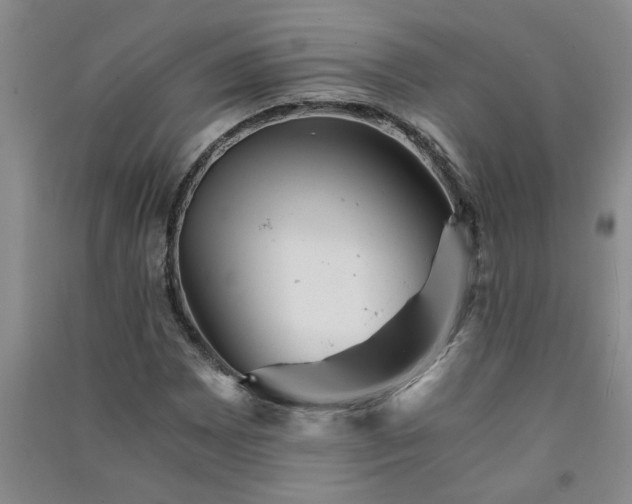 X0000091361065200708171519