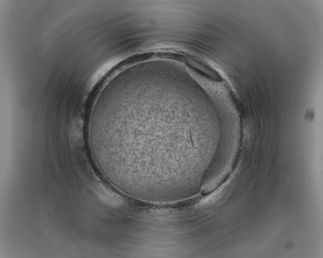 X0000091361066200708171519