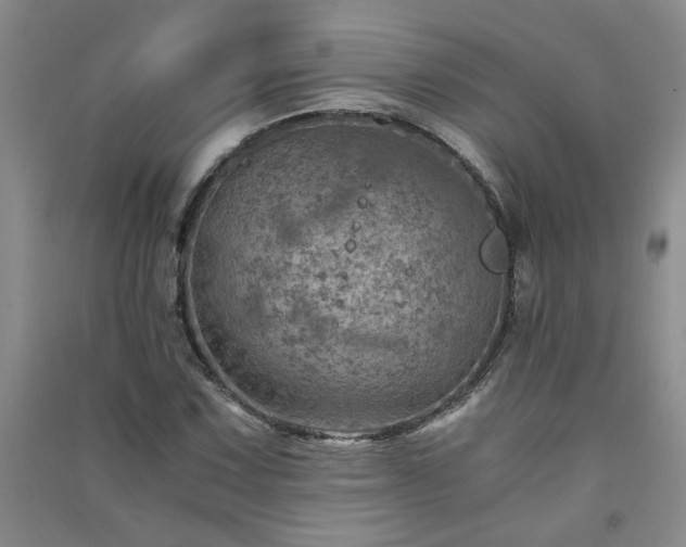 X0000091361067200708171519