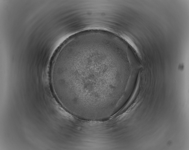 X0000091361068200708171519