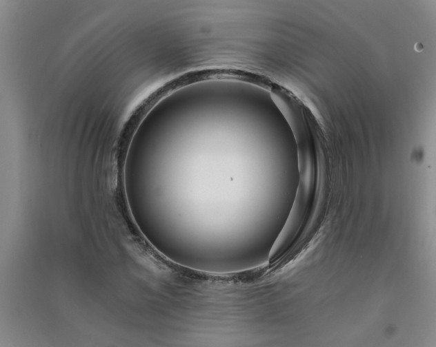 X0000091361069200708171519