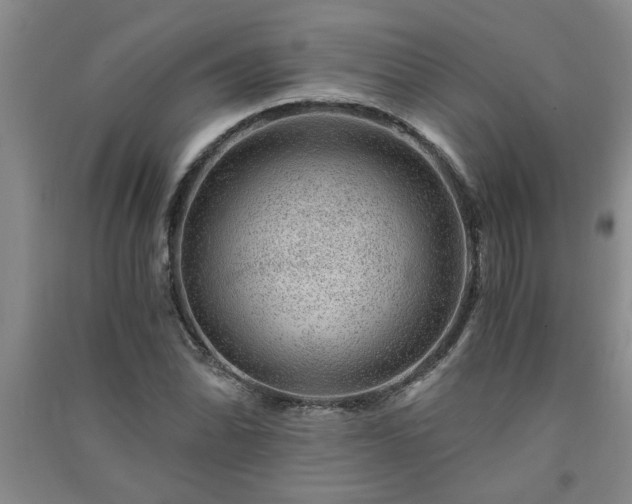 X0000091361070200708171519