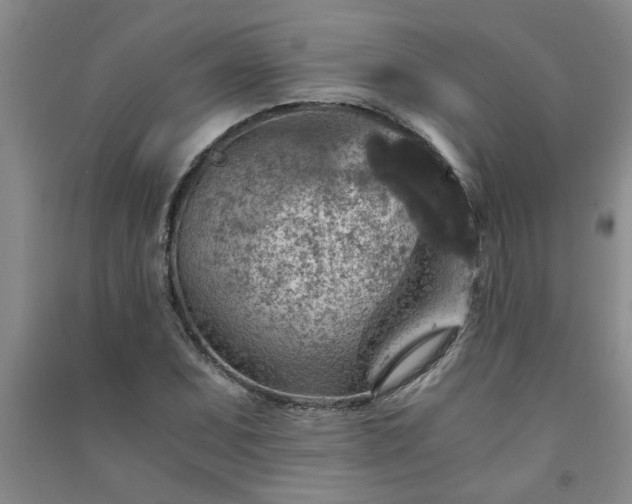 X0000091361071200708171519
