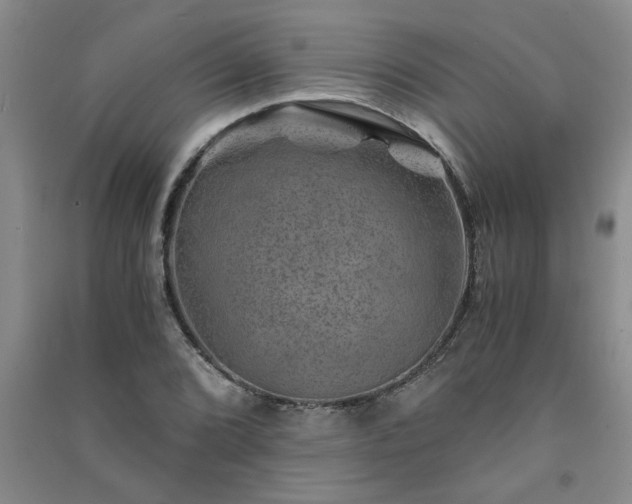 X0000091361072200708171519