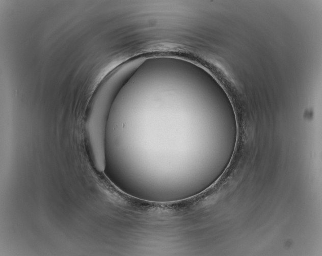 X0000091361073200708171519