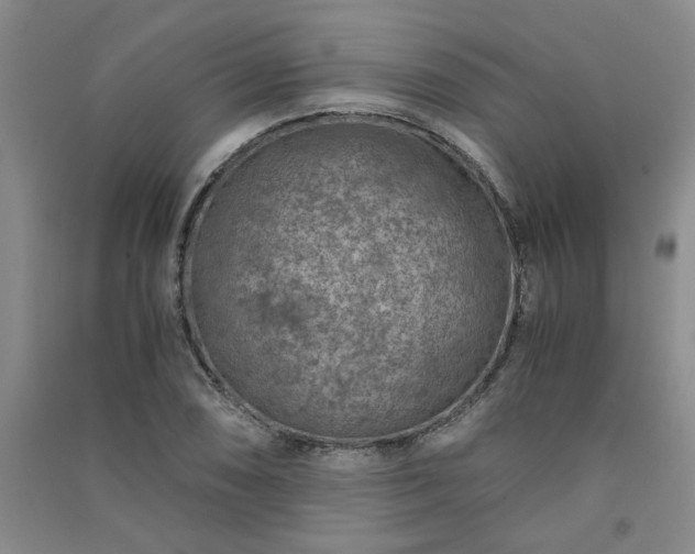 X0000091361074200708171519
