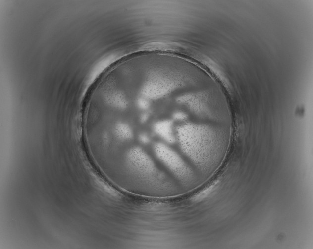 X0000091361075200708171519