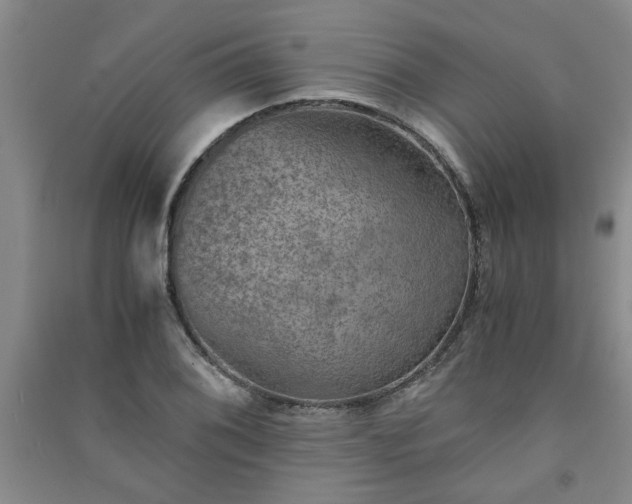 X0000091361076200708171519