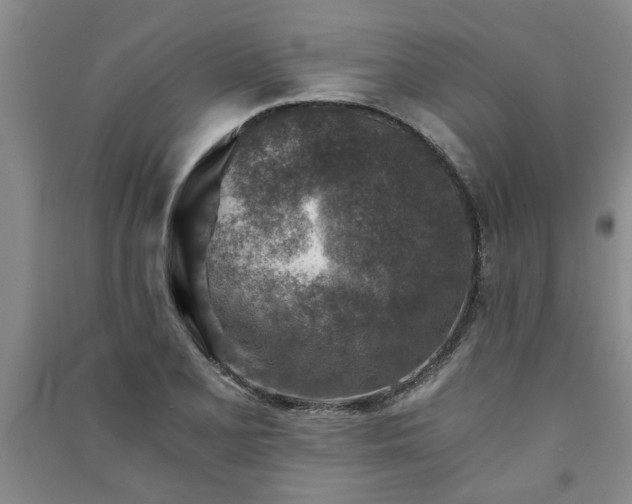 X0000091361077200708171519