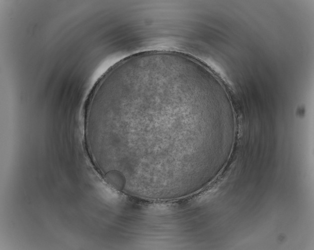 X0000091361078200708171519