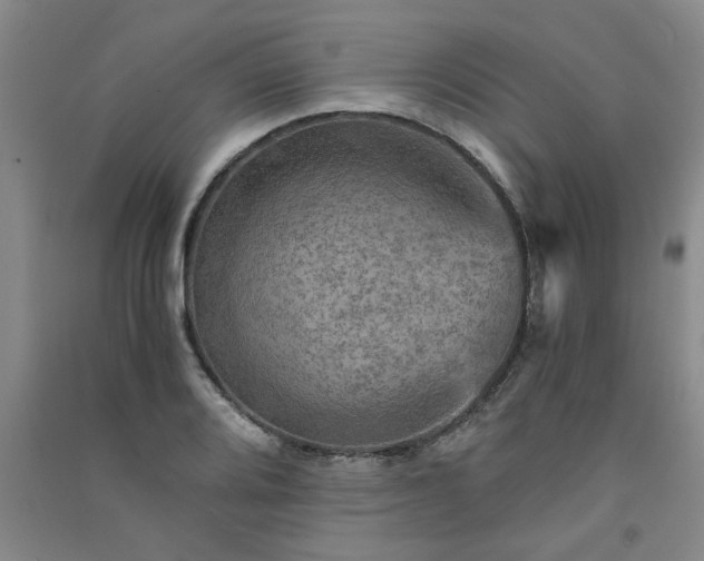 X0000091361080200708171519