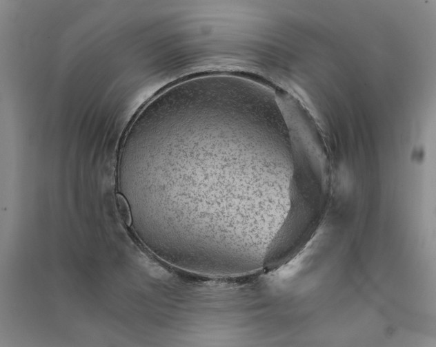X0000091361081200708171519