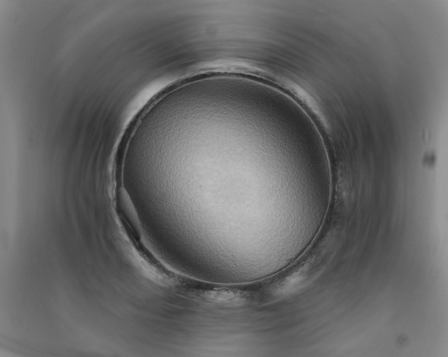 X0000091361082200708171519