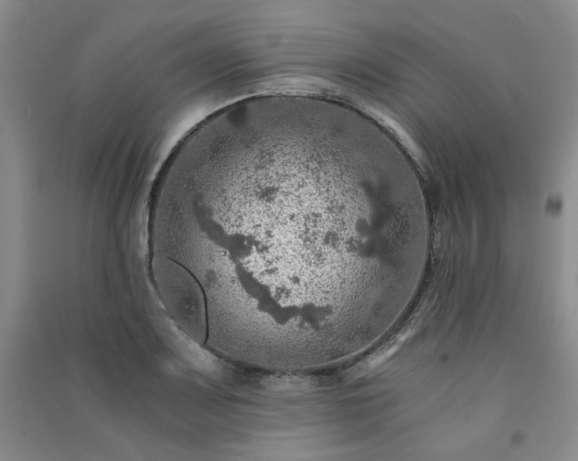 X0000091361083200708171519