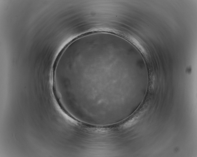 X0000091361084200708171519