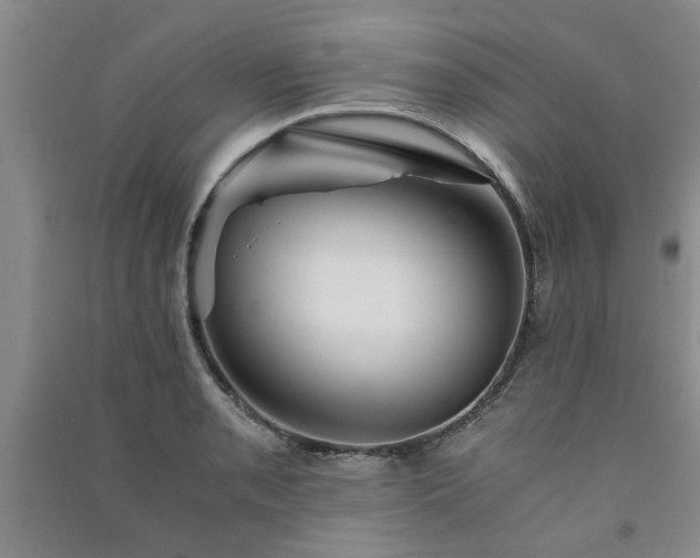 X0000091361085200708171519