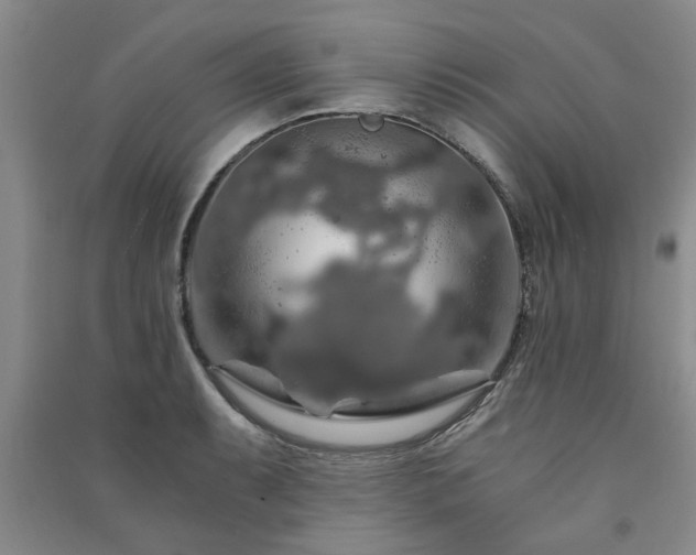 X0000091361087200708171519