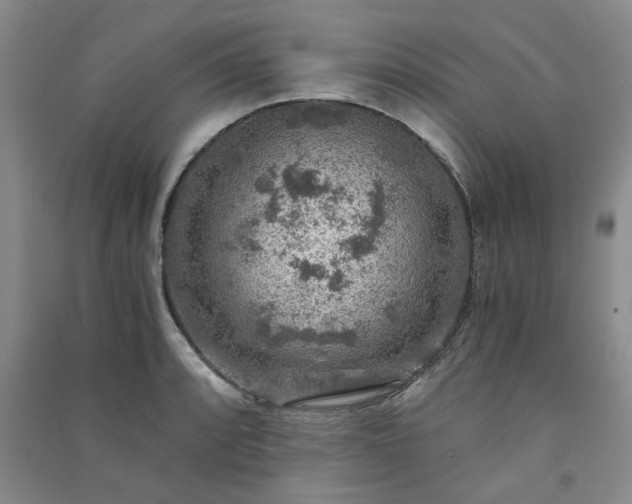 X0000091361088200708171519