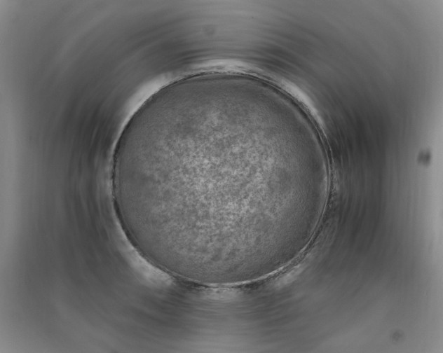 X0000091361090200708171518