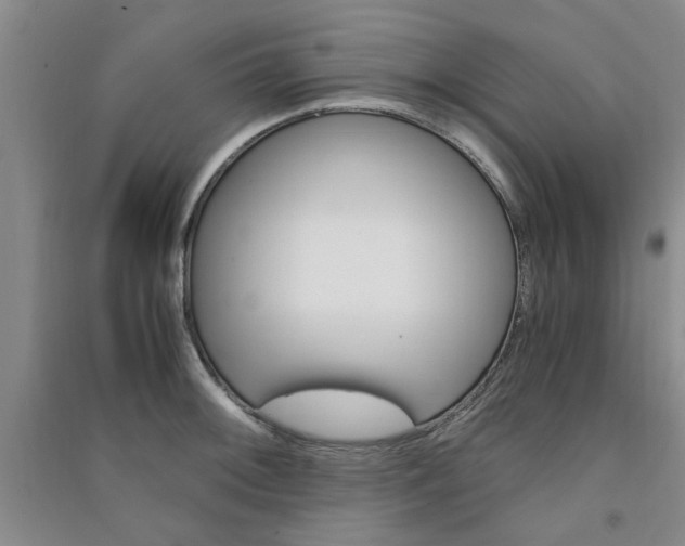X0000091361092200708171518