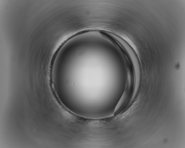 X0000091361093200708171518
