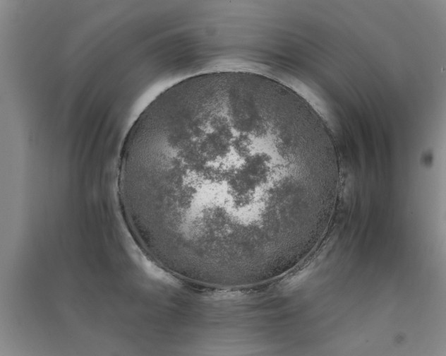 X0000091361094200708171518