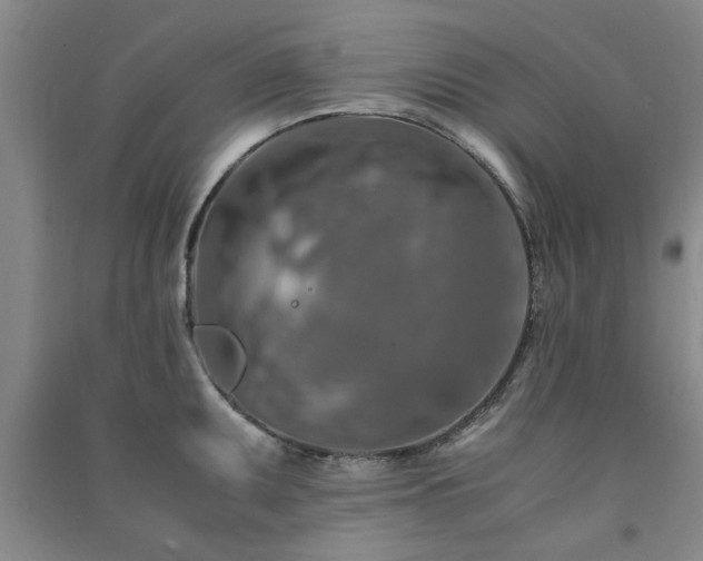 X0000091361095200708171518