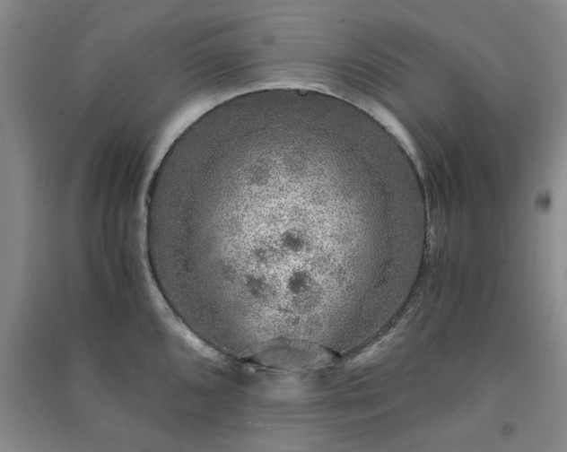 X0000091361096200708171518