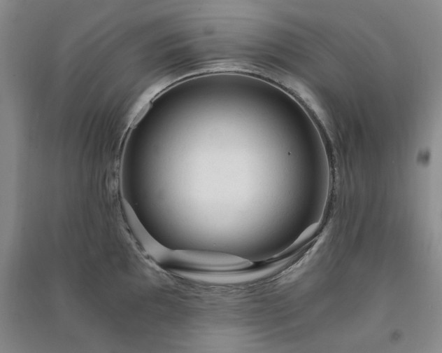 X0000091361097200708171518