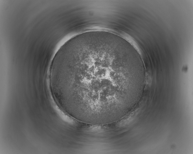 X0000091361098200708171518