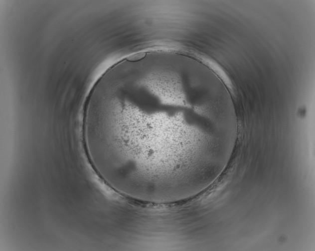 X0000091361099200708171518