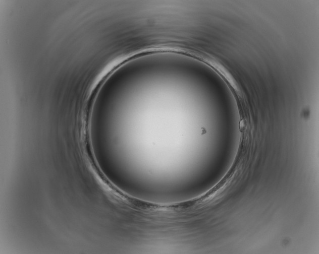 X0000091361101200708171518