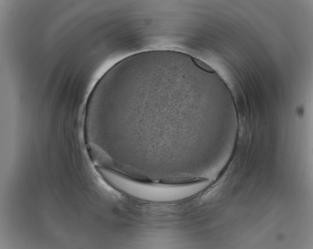 X0000091361102200708171518