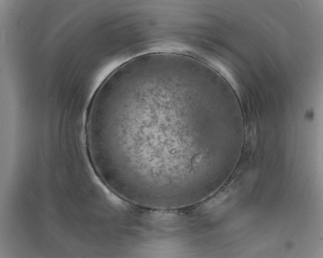 X0000091361103200708171518