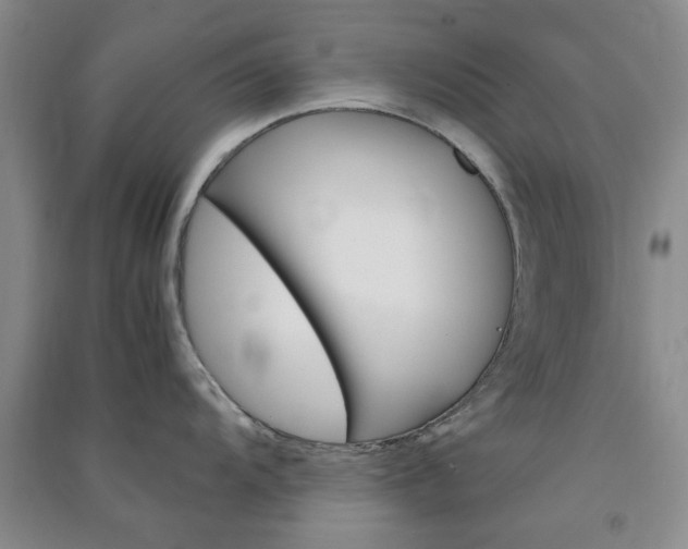 X0000091361104200708171518