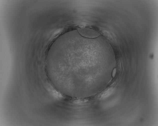X0000091361105200708171518