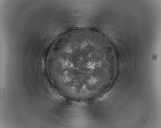 X0000091361106200708171518