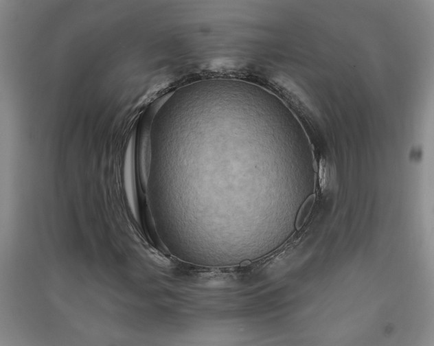 X0000091361107200708171518