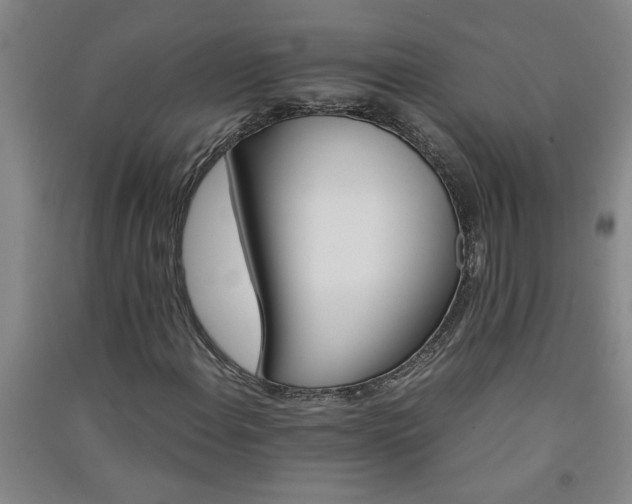 X0000091361108200708171518