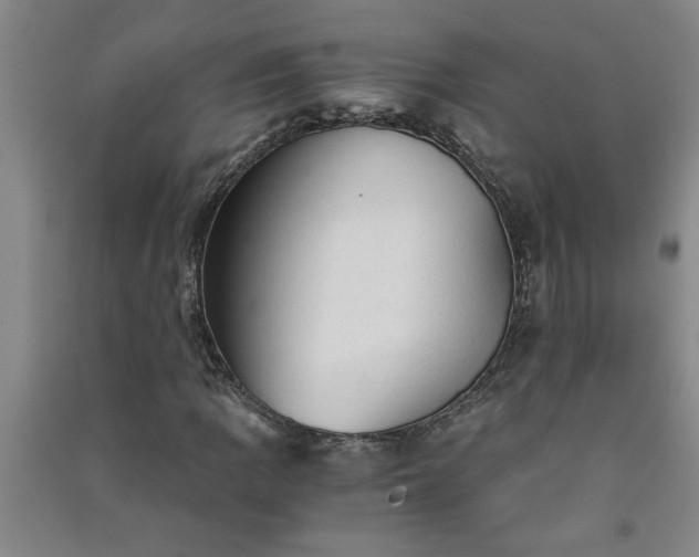 X0000091361109200708171518
