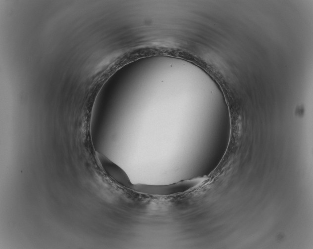 X0000091361110200708171518